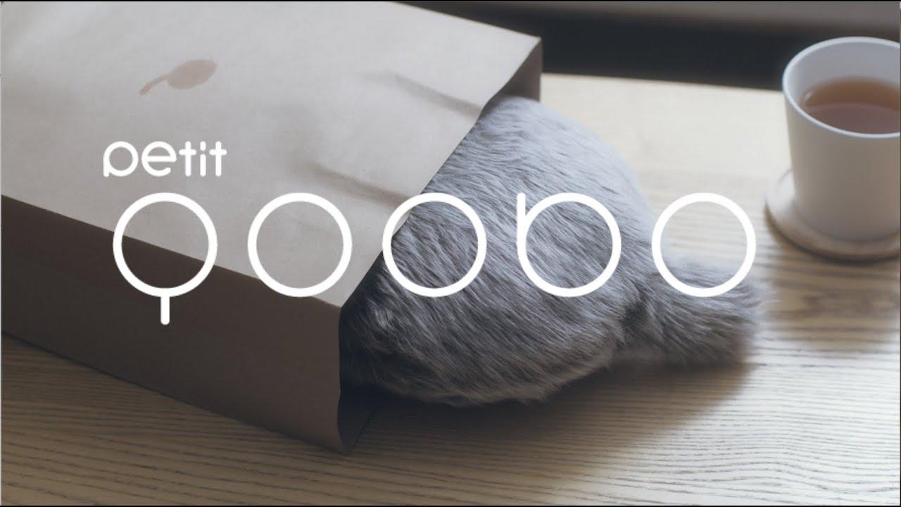 Amazon.co.jp: Petit Qoobo（プチ・クーボ） (グリ（灰）) ユカイ工学
